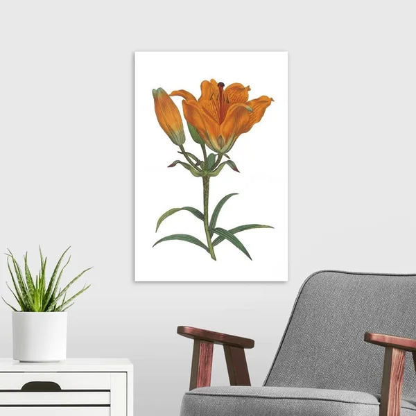 Antique Botanical XX on White, Canvas Wall Art, 16x24, Great Big Canvas