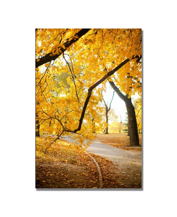 Trademark Fine Art Ariane Moshayedi 'Walk Through The Park' Canvas Art 16x24 Inches