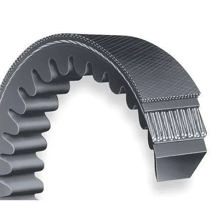 Dayton 13W533 V-Belt - Cogged, CX55