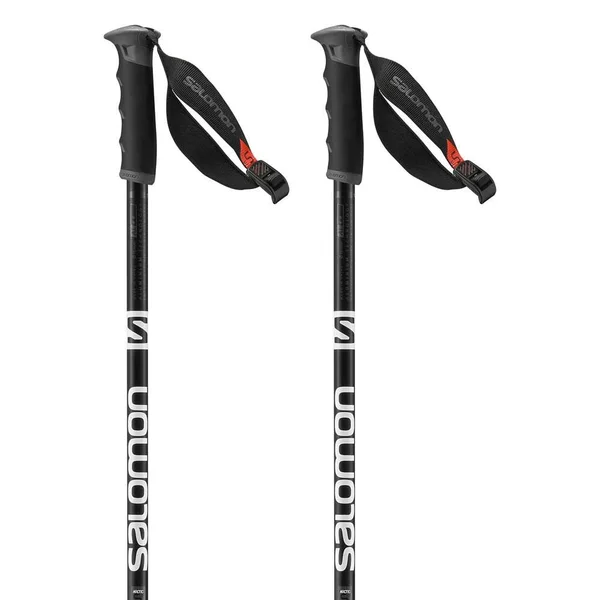 Salomon Arctic S3 Ski Poles Black/Grey - 110cm