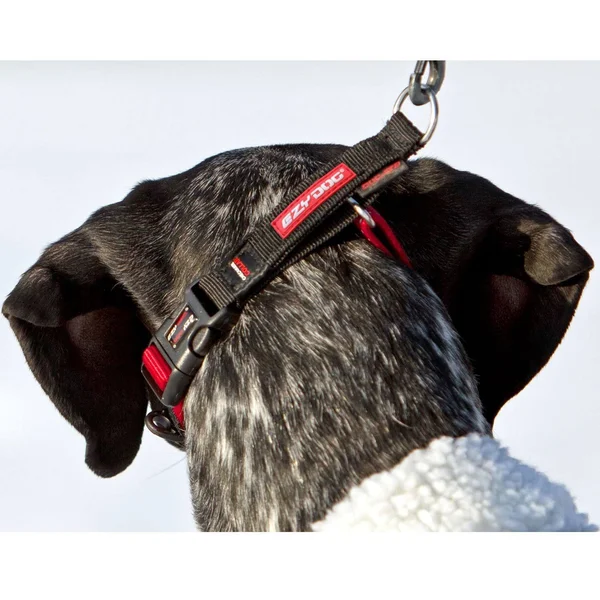 EzyDog Checkmate Collar, Medium, Red