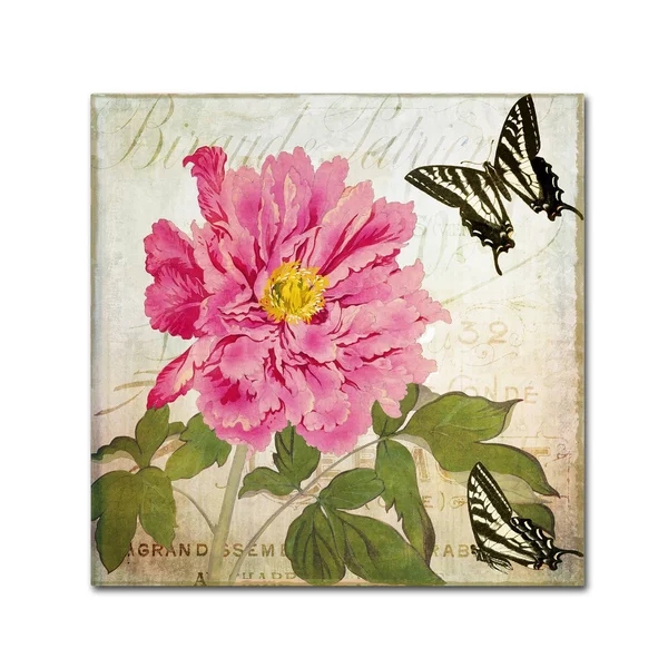 Trademark Fine Art Aja by Color Bakery, 18x18-Inch Canvas Wall Art