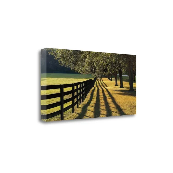 15x22 x 29x22 Chasing Shadows by Mike Jones Fine Art Giclee Print
