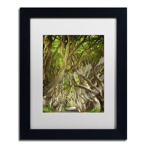 Trademark Fine Art The Way It Is Canvas Art by Philippe Sainte-Laudy - 11x22 x 14x22