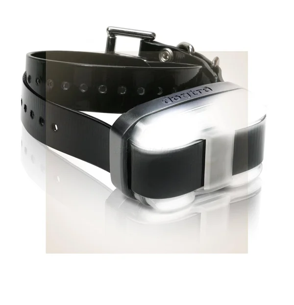 Dogtra Edge Remote Trainer
