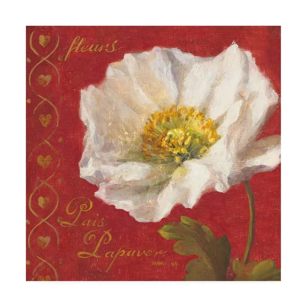Trademark Fine Art 'Paris Blossom II' Canvas Art by Danhui Nai, Size: 18 x 18