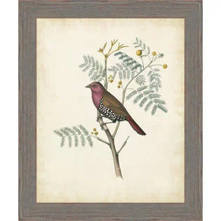 Ashton Wall D閏or Llc 'Delicate Birds II' Framed Painting Print