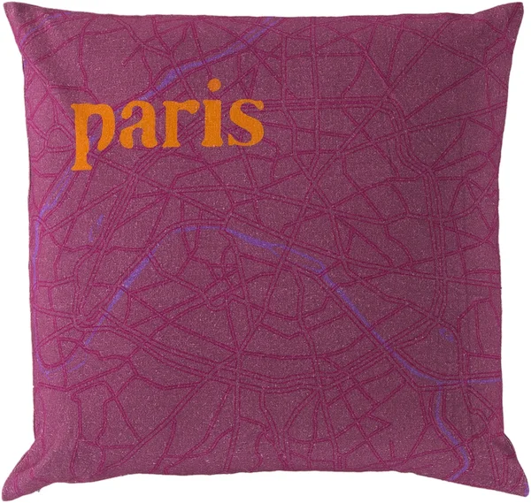 Surya City Maps 22x22 x 22x22 Pillow with Down Insert SY017-2222D