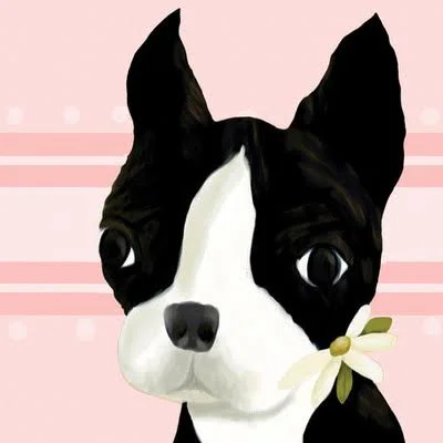 Oopsy Daisy BEA The Boston Terrier Canvas Art Size: 21x22 H x 21x22 W x 1.5x22 D - Color: Pink