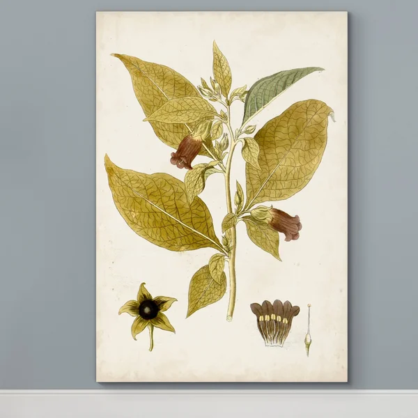 Vintage Charm VI -Premium Gallery Wrapped Canvas - 18x27
