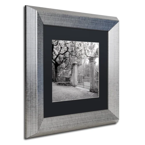 Trademark Art Alan Blaustein 'Firenze I' Contemporary Framed Art
