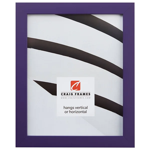 Craig Frames Inc Confetti Modern Solid Wood Picture Frame 140, Purple