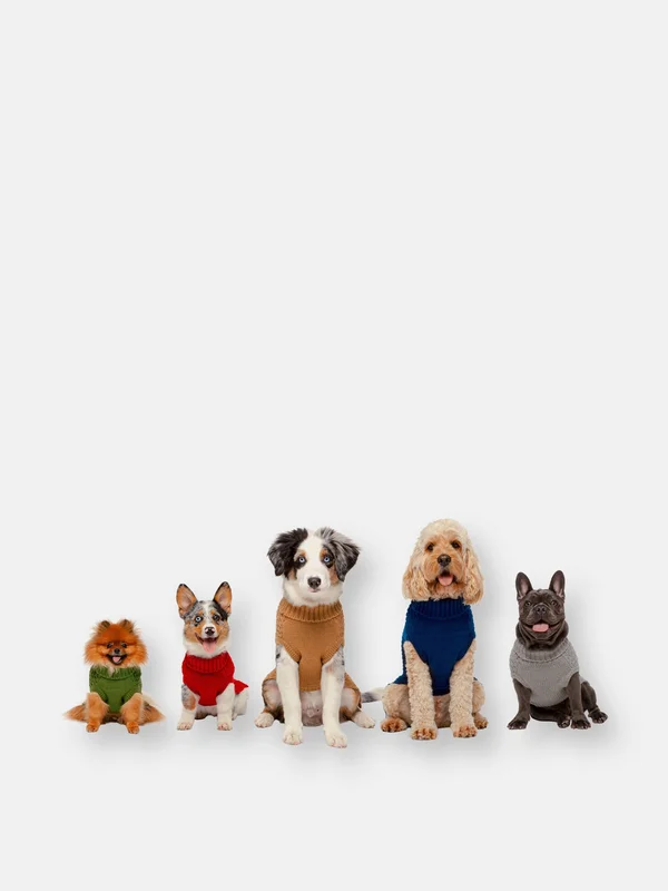 Fab Dog Super Chunky Turtleneck Dog Sweater - Black, 8x22