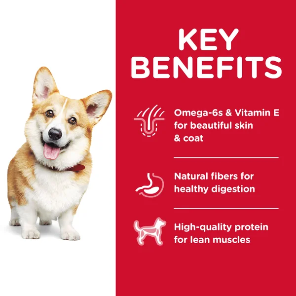 Science Diet Science Diet Dog Food - Premium, Chicken & Barley Recipe, Adult 1-6 Small Bites - 35 lb