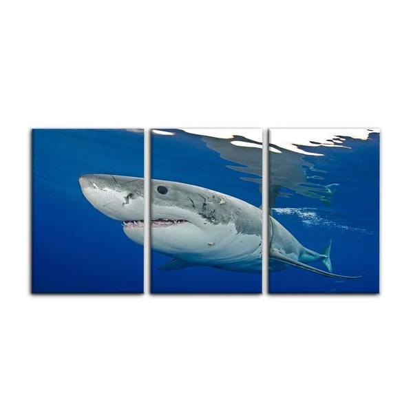 Ready2HangArt Chris Doherty &Shark& Canvas Art 3-Piece Set