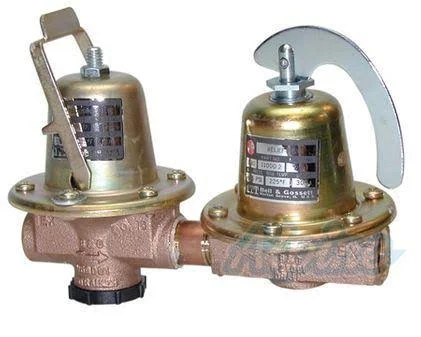 Bell & Gossett Dual Unit Pressure Reducing/Relief Valve - 110199