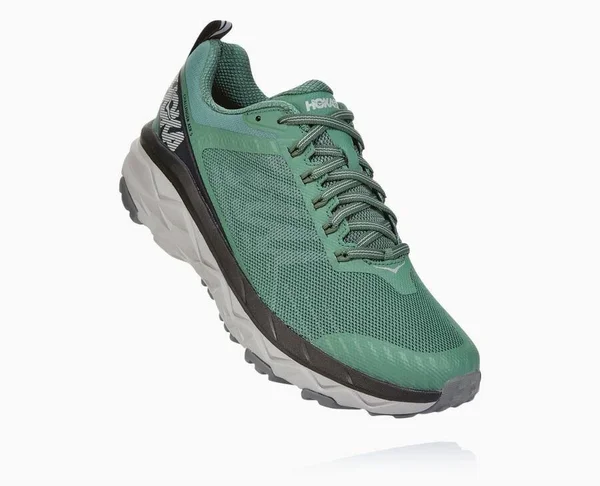 Hoka One One Men's Challenger ATR 5 Wide Myrtle, Charcoal Gray