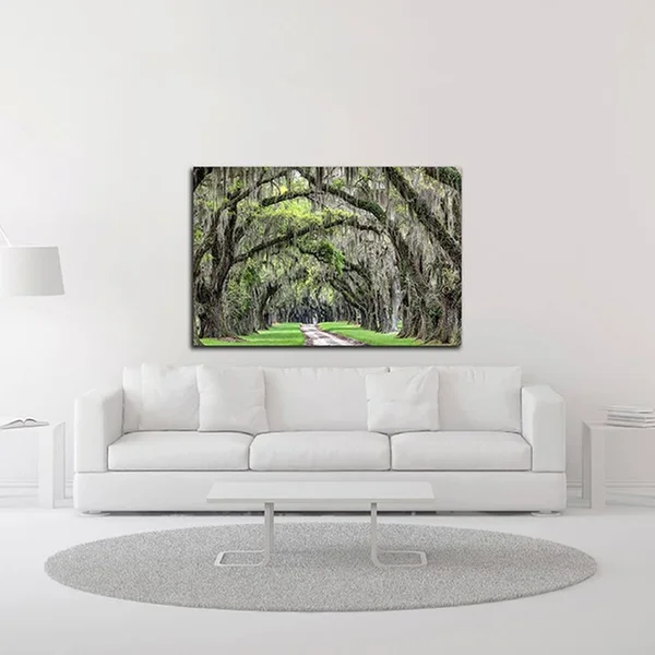 Tangletown Fine Art 14x22 x 21x22 The Old South by Daniel Burt Print on Canvas