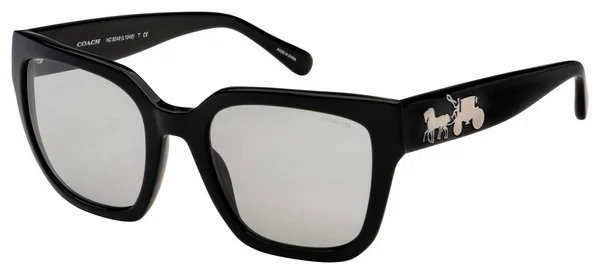 Sunglasses Coach HC 8249 500287 Black Solid