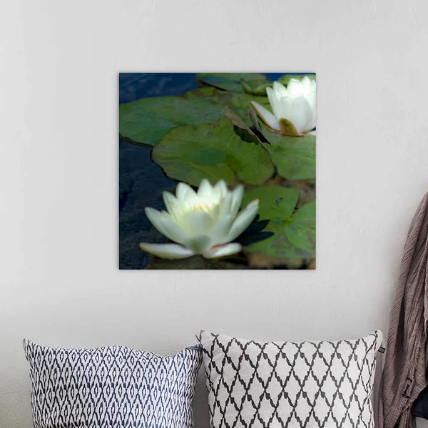 Water Lilies I, Canvas Wall Art, 20x20, Great Big Canvas