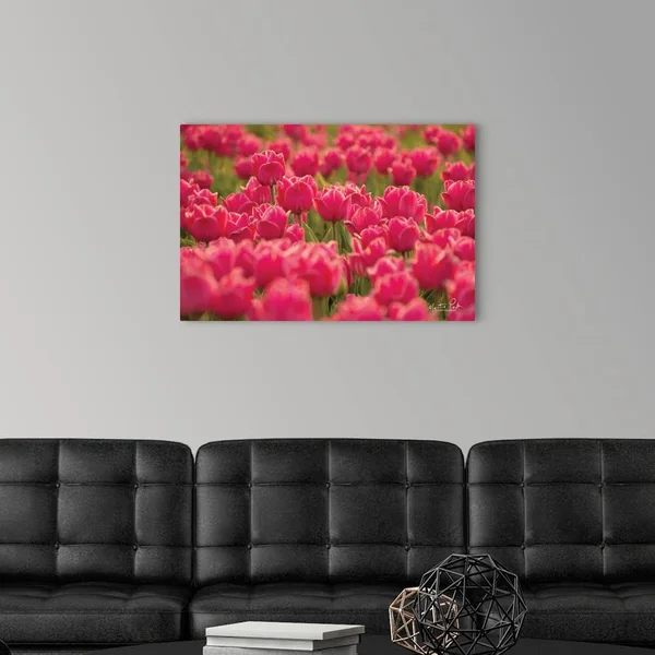 Pretty Pink Tulips, Canvas Wall Art, 30x20, Great Big Canvas