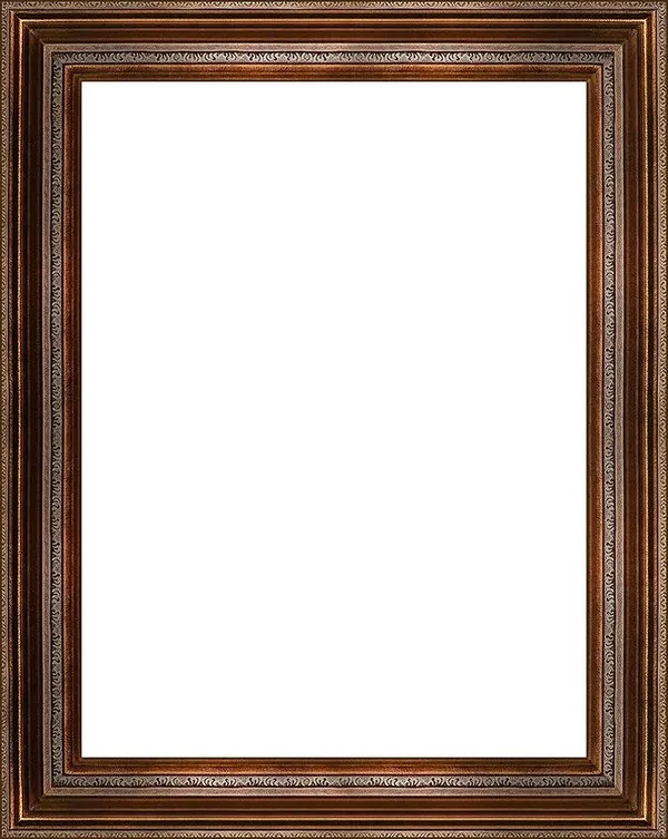 Mediterranean Bronze Frame 30x22x40x22 Museum Frame, 30 x 40