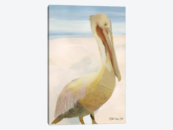 Stellar Design Studio Canvas Prints - Pelican I ( Animal Art > Birds > Pelicans art)