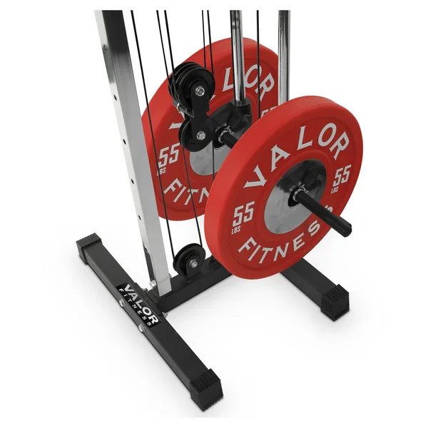 Valor Fitness BD 62 Wall Mount Cable Station