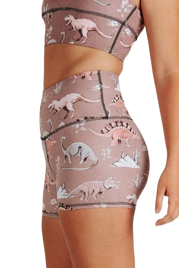 Stokasaurus 3x22 Eco-Friendly Women's High Waisted Yoga Shorts, Yoga Democracy Stokasaurus, XL - Eco Friendly Activewear by Yo
