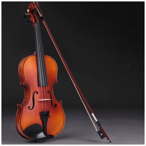 AplusBuy 4/4 Full Size Handmade Violin Stradivari Copy Style Fiddle Case Bow Set