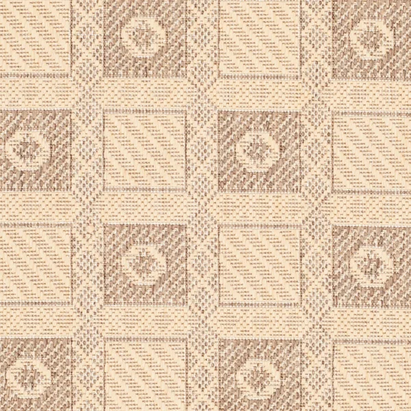 Safavieh Martha Stewart MSR4254 4&0x22 x 5&7x22 Creme - Brown Area Rug