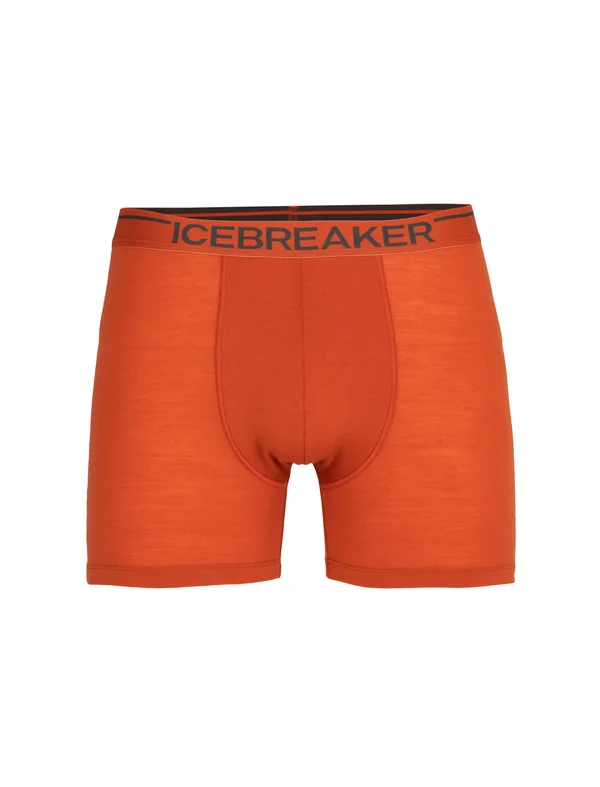 Icebreaker Anatomica Boxers - Men's Roote, XL