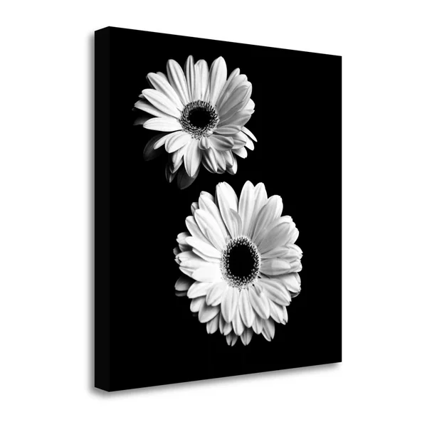 Tangletown Fine Art Gerbera Portrait I by Jeff Maihara