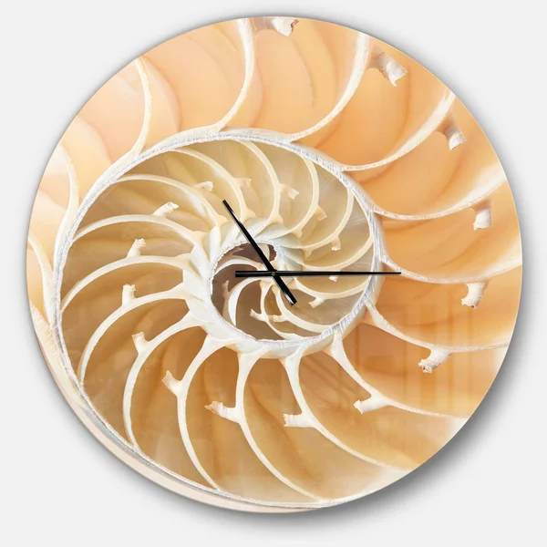Designart 'Brown Nautilus Shell Pattern ' Modern Wall Clock - Size: 38 inch x 38 inch