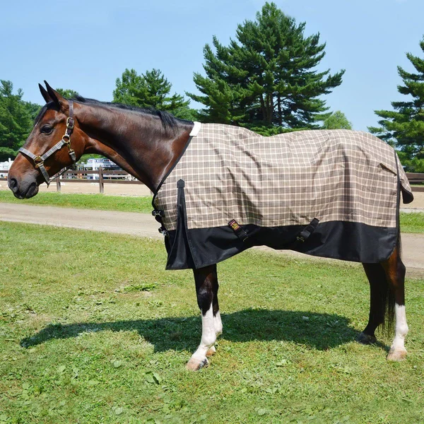 5/A Baker Black Label Turnout Sheet