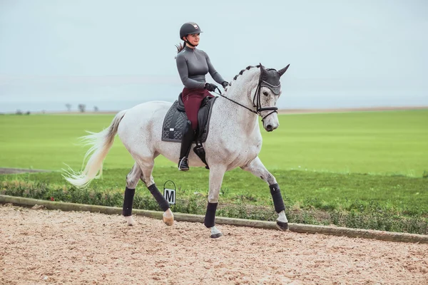 Equestrian Stockholm SS&21 Silver Cloud No Boundaries Bandages
