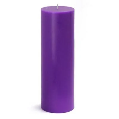 Smokeless Paraffin Unscented Pillar Candle Color: Purple, Size: 6x22 H x 2x22 Diameter, Pack Size: Set of 24