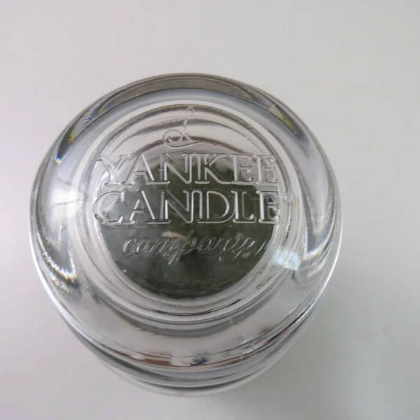 Yankee Candle Large Jar Candle, White Pine & Mistletoe