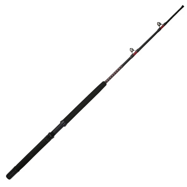 Shakespeare Bigwater Stand Up Casting Rod