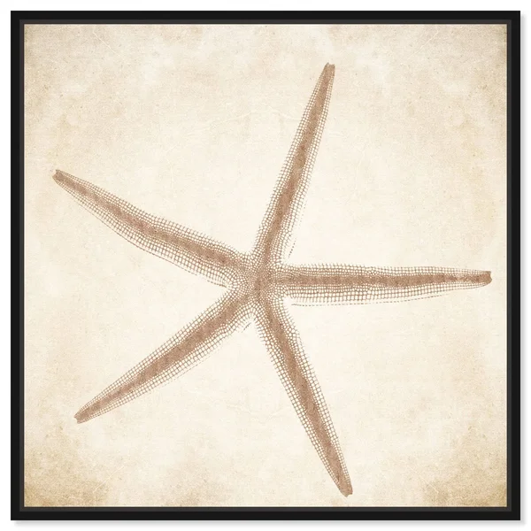 Oliver Gal 'Starfish Taupe' Nautical and Coastal Wall Art Framed Canvas Print Marine Life - Brown - Brown - 30 x 30 - Gold