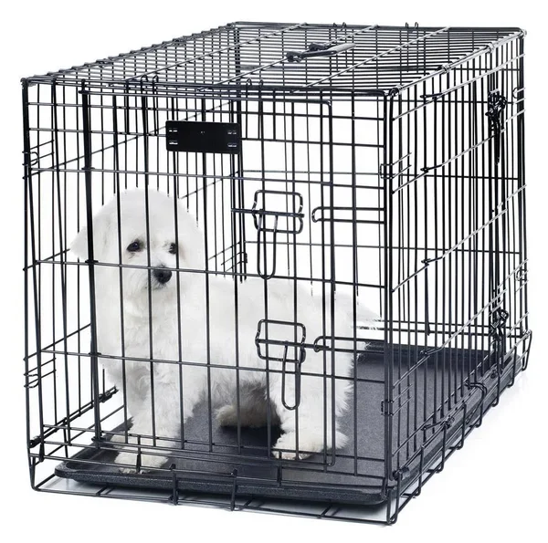 Petmaker 2 Door Foldable Dog Crate Cage - Black