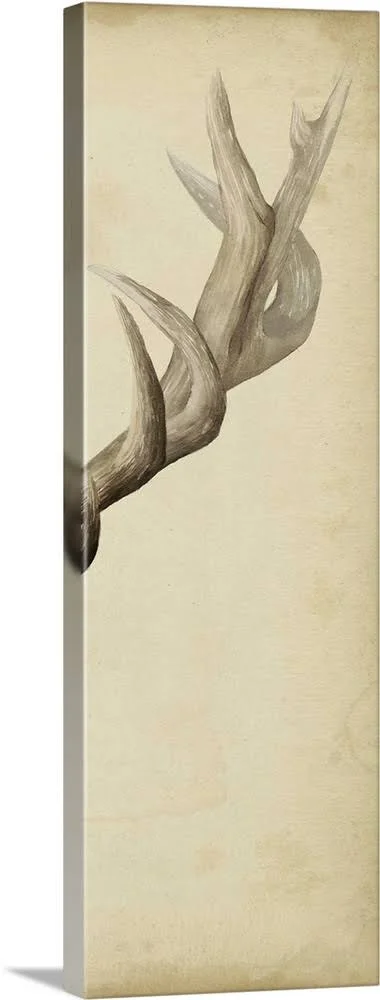 Triptych Elk III, Canvas Wall Art, 16x48, Great Big Canvas