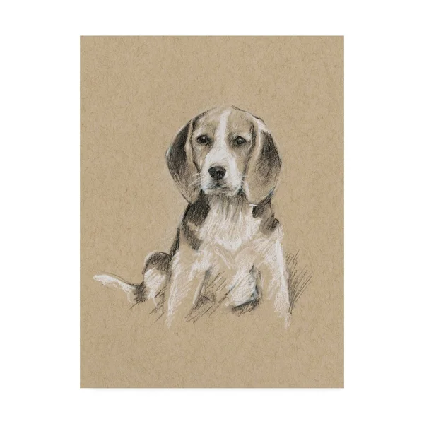 Trademark Fine Art 'Breed sketches I' Canvas Art by Ethan Harper, Size: 18 x 24