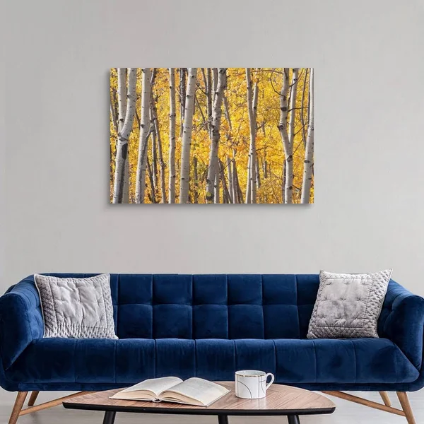 Aspen Trees in Autumn - Kananaskis Country, Alberta, Canada, Canvas Wall Art, 48x32, Great Big Canvas