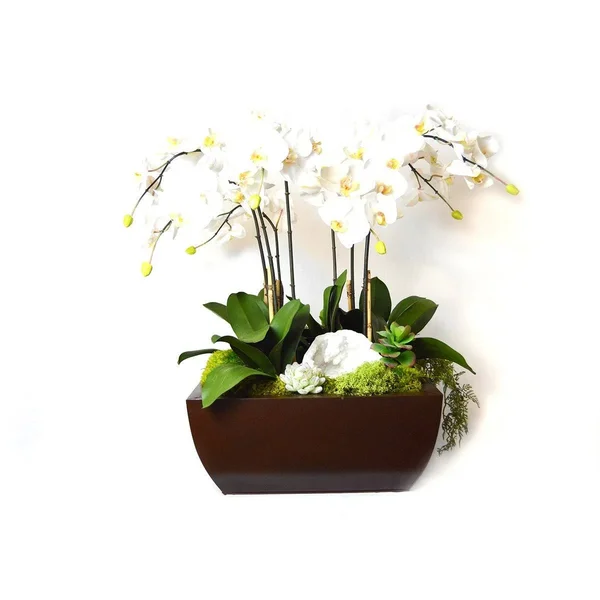 Tu0026C Floral Company 21 x 29 in. Orchid and Geode in Metal Box - Large, White