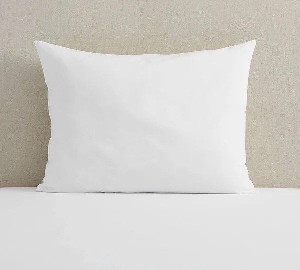 Pottery Barn Oversized Feather Pillow Insert - Set of 2