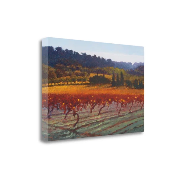Tangletown Fine Art Saint Saturnin, L, Apt by Kent Lovelace, Giclee Print on Wrap Canvas, 39x22x26x22