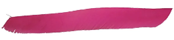 Trueflight Pink Full Length RW Feathers