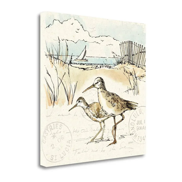 18x22 x 18x22 Coastal Breeze IX by Anne Tavoletti Fine Art Giclee Print