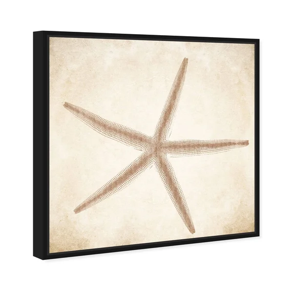 Oliver Gal 'Starfish Taupe' Nautical and Coastal Wall Art Framed Canvas Print Marine Life - Brown - Brown - 30 x 30 - Gold
